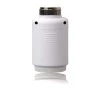 Blaupunkt TRV-S1 Smart radiator button Wireless