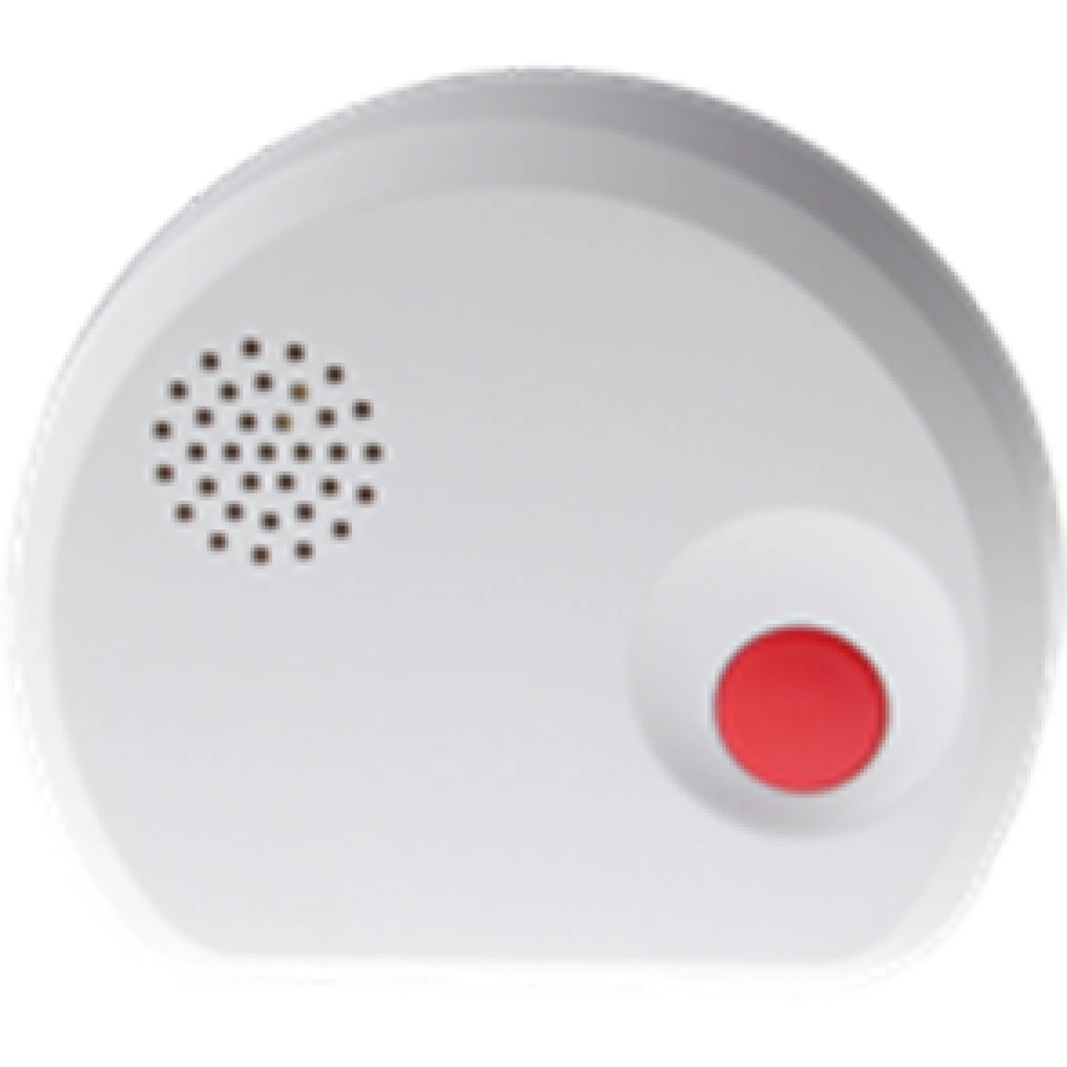 Blaupunkt WS-S1 Water Detector Wireless