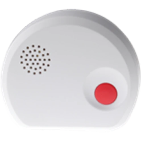 Blaupunkt WS-S1 Water Detector Wireless